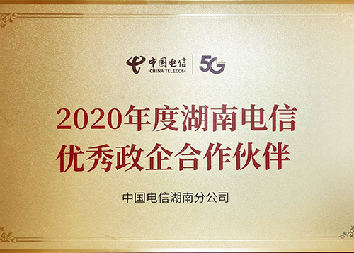 2020湖南(nán)電(diàn)信優秀政企合作夥伴